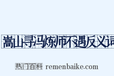 嵩山寻冯炼师不遇反义词是什么意思的图片